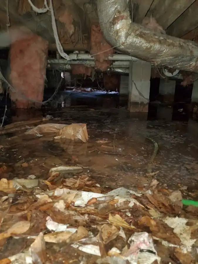 Crawl space flood assessment for Leak Detection & Repair in Lemont