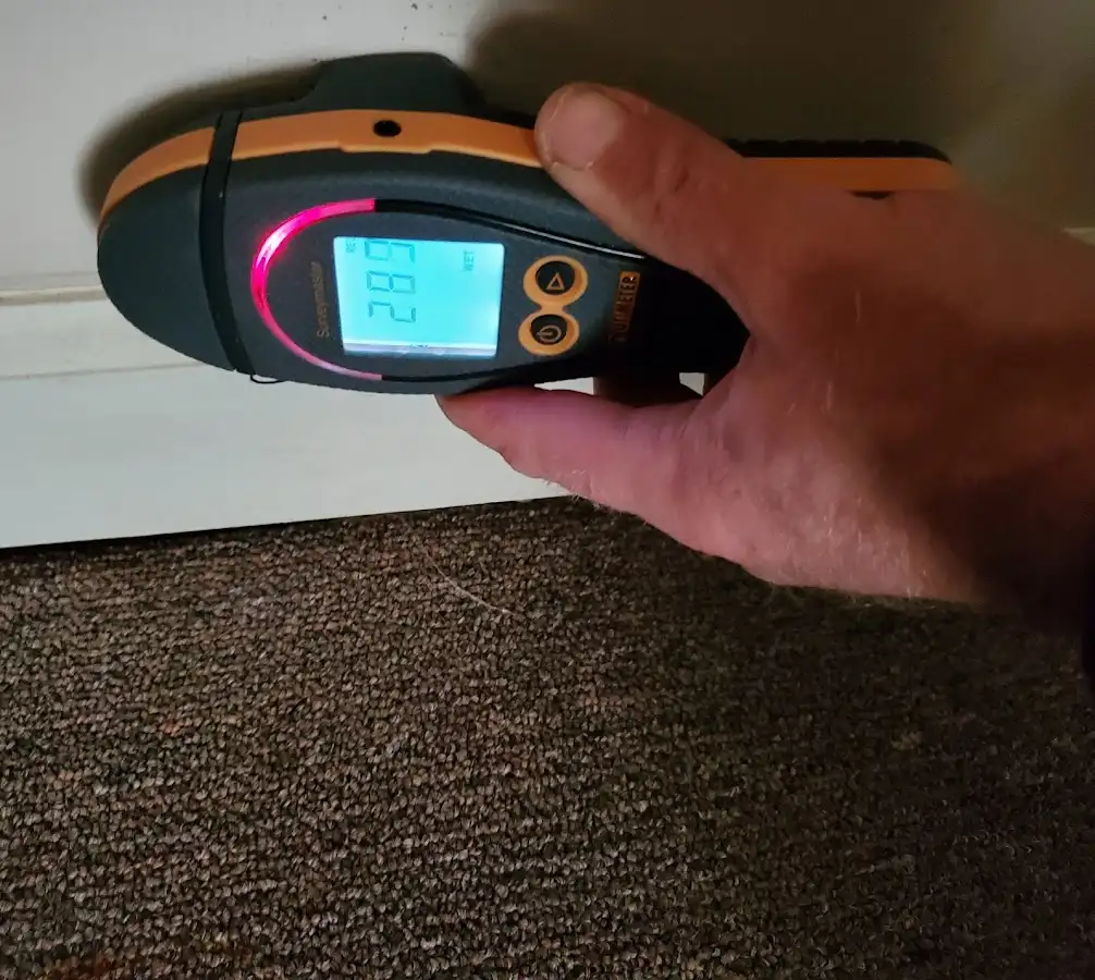 Moisture detection at baseboard during Sewage Cleanup & Sanitation in Lemont