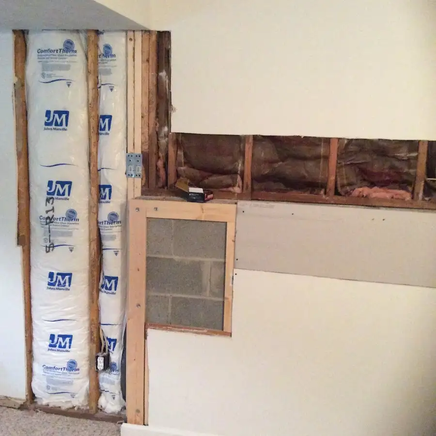 Wall insulation replacement during Odor Removal & Deodorization in Lemont